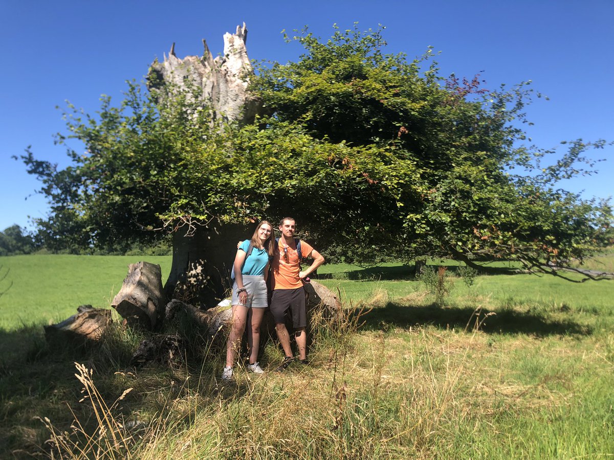 #MeetingswithRemarkableTrees All the way from Strasbourg these siblings Louis and Lise have driven to pay homage to the veteran trees of Ireland. It’s always great to meet tree fanatics,  especially the young ones who will be looking after the next generation of trees.