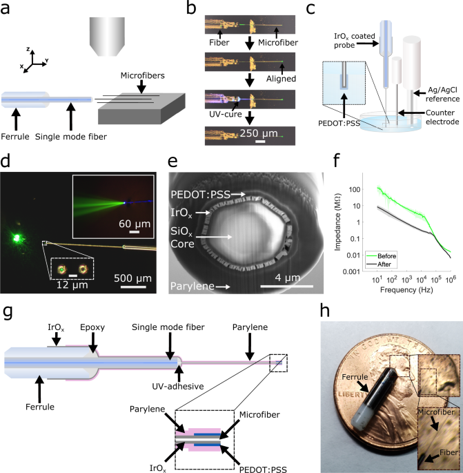 BIOShealth's tweet photo. To us, neural = the next evolution in #precisionmedicine. So new innovations to support it excite us! #LearnOneThing: @UCSanDiego & @salkinstitute present the smallest microprobe for neural interfacing.
https://t.co/18lVSPjeW2
#healthcareinnovation #innovations #medicaldevices https://t.co/DmK7mwLyEA