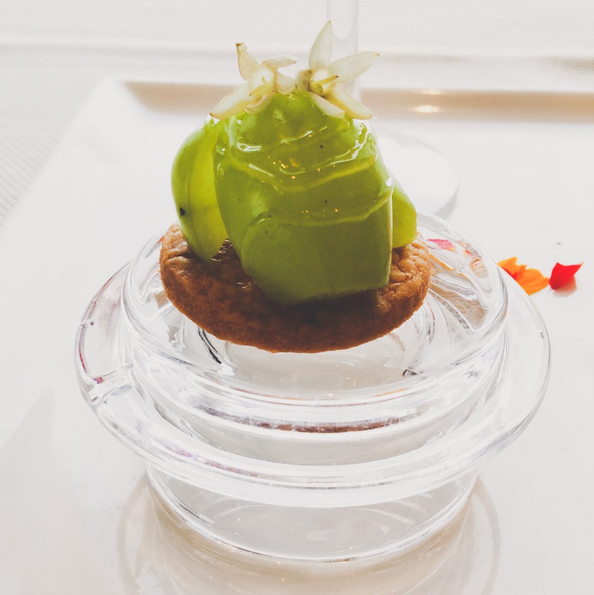 Shinoukin's tweet image. ドロイド君に見えて仕方ないマスカットのミニタルト
#ドロイド君 　
#bugdroid 
#androidrobot
#アフタヌーンティー