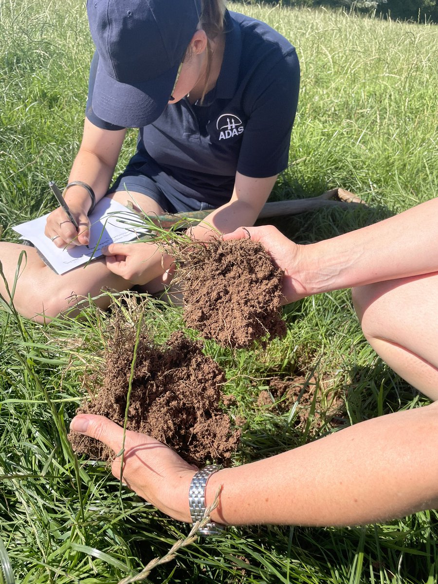 chatcullfarm's tweet photo. Thank you @StaffsWildlife for a great afternoon with ADAS surveying the farm for a Whole Farm water report. Learnt lots in the 35 degree heat! https://t.co/JmWJWiNFw8