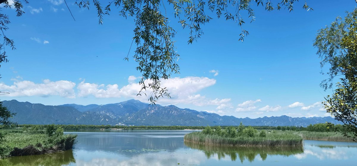 The Wild Duck Lake National Wetland Park (野鸭湖国家湿地公园) in #Beijing.

Photos from a friend.