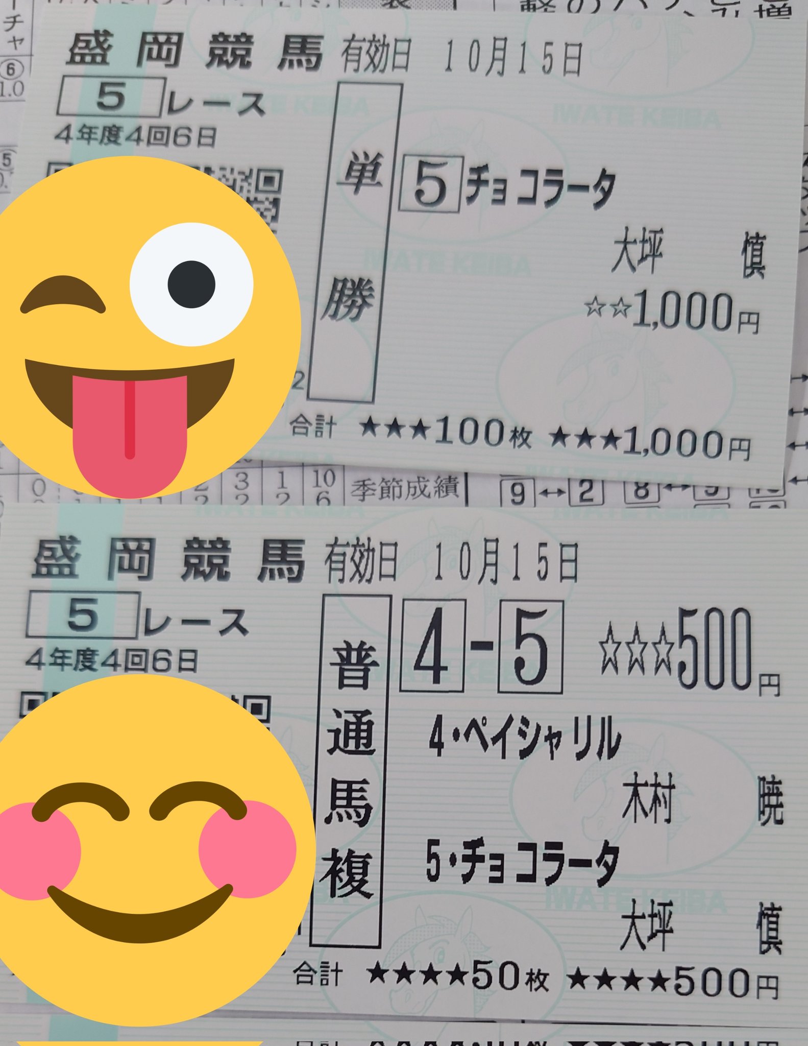 ていぬー 多中夜凪 Teinu28 Twitter