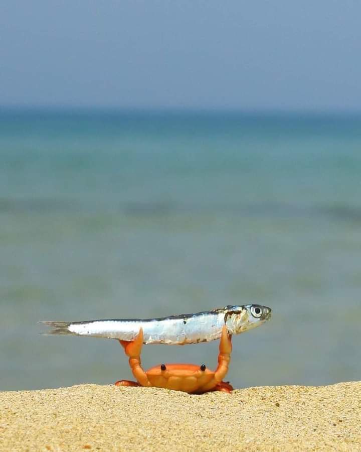 Anxious chasing your invoices from larger commercial customers ?

Statclaim are here to help small to medium SMEs get back what they are owed and get their business back on track  

FREE LEGAL SERVICE 0330 220 0550 

 #InvoiceChasing #LPP #latepayment #latepaymentcompensation