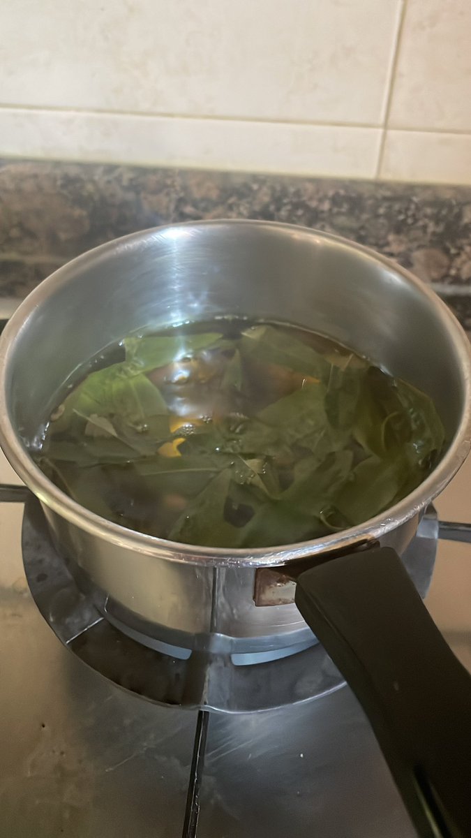 PatrickBolanyos's tweet photo. M'estic fent una infusió de Maria Lluïsa que va bé per la panxulina. Ja se sap, a l'estiu amb els excesos...
#marialluisa #excessos #panxulina #estiu #comilona #fisting #remei #mitjavida https://t.co/QTaUnCQiFm