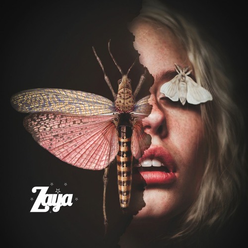 Piccadilly Records tweet media