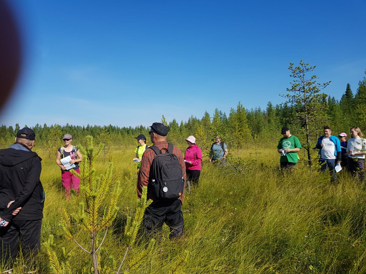 Ritva_Isomaki's tweet photo. #Turvi-hankkeen maastokäynnillä Pudasjärven Virtalansuolla tutustutaan metsäojituksen uusiin virtauksiin. @TAPIOForestry @LukeFinland @SYKEinfo @metsakeskus https://t.co/CCfOF8P7lu