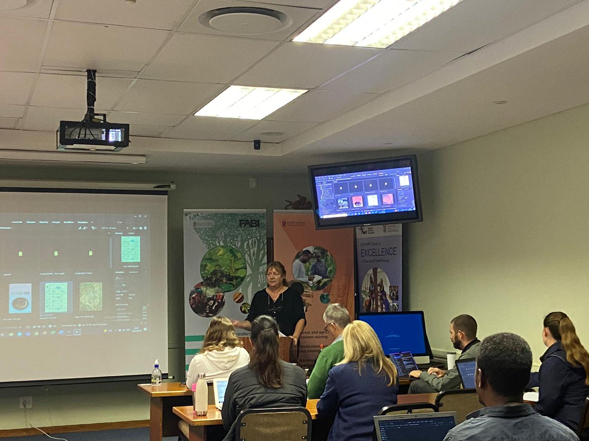 Duong Vu tweet media