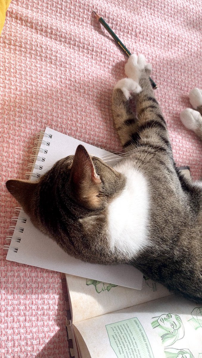 Akulova_Lo's tweet photo. Cat, who loves to draw 😺
#artist #illustration #nft #cat https://t.co/q9svRTec6e