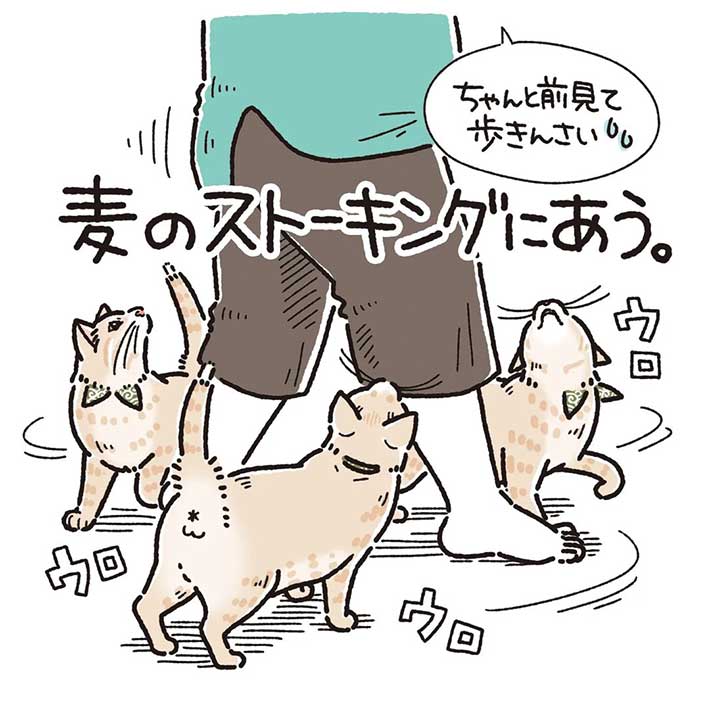 お風呂から上がったばかりの女性 甘えん坊な猫の行動に、キュンとする https://t.co/NReOqa88jf @grapeejpより 