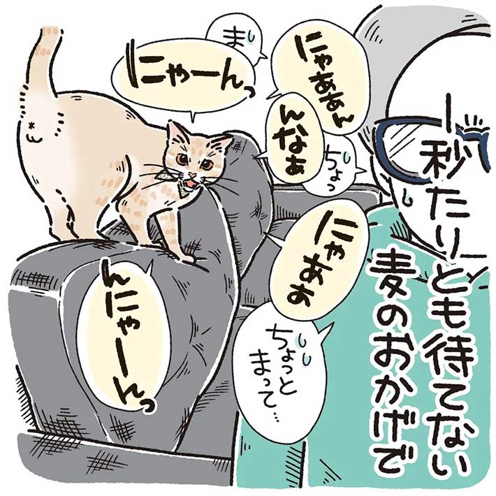 お風呂から上がったばかりの女性 甘えん坊な猫の行動に、キュンとする https://t.co/NReOqa88jf @grapeejpより 