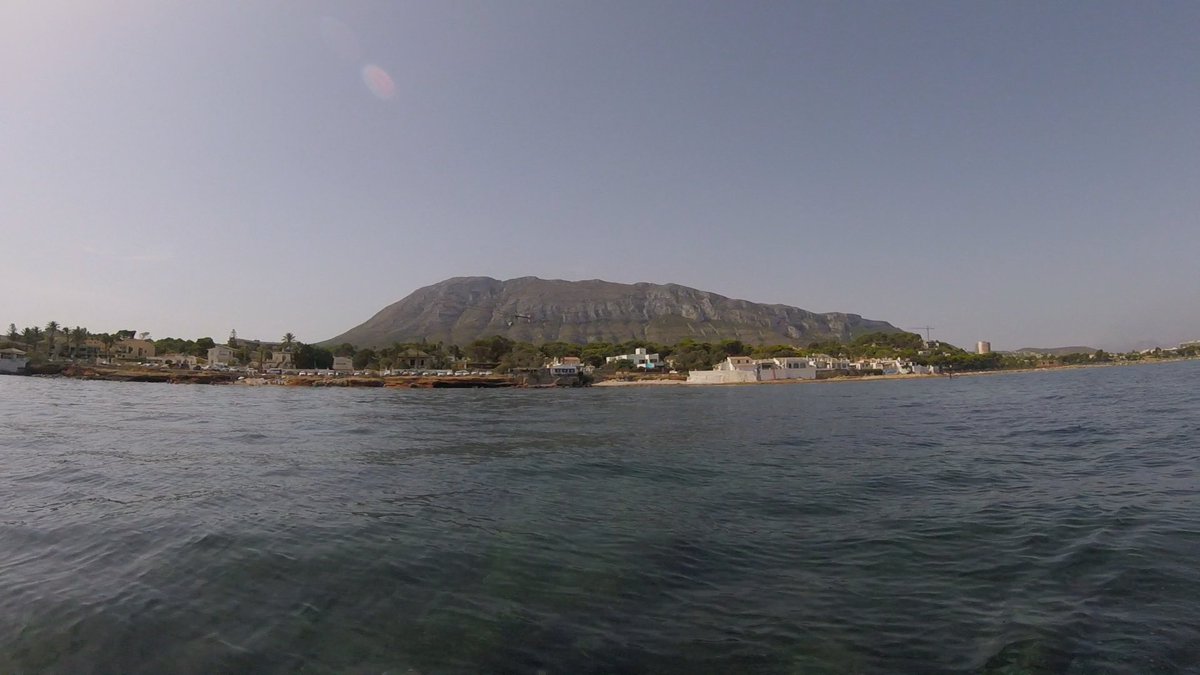 carmintt's tweet photo. GM! Just got back from a short summer break -full of diving and sea sights 🐠 Did anyone around here managed to rest? https://t.co/lkqMtyFMCP