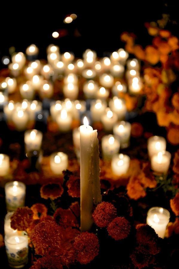 HermosaInDeath's tweet photo. "The world keeps spinning, and the tales keep turning, and people come and people go, but they're never forgotten"

💀 sweet as candy

🏵patient as a mother

💀Sweetness of death 

🏵gentle https://t.co/PMeG3Q6G5M