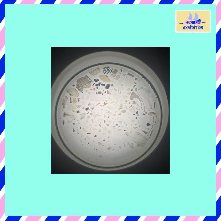 eaudeparis's tweet photo. [LA QUESTION DU JOUR #ZoéEnExpédition ⛵️🌊] 

Pourquoi y-a-t-il autant de micro plastiques ? 

#expeditionmed #zoéenexpédition #zéroplastique #luttecontreleplastiqueàusageunique #eau #protégerleau #protectiondesmers #protectiondesmersetdesoceans #trierleplastique #microplastique https://t.co/EJym9tn9Ur