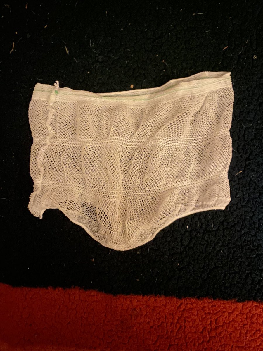 🇮🇷 tweet media