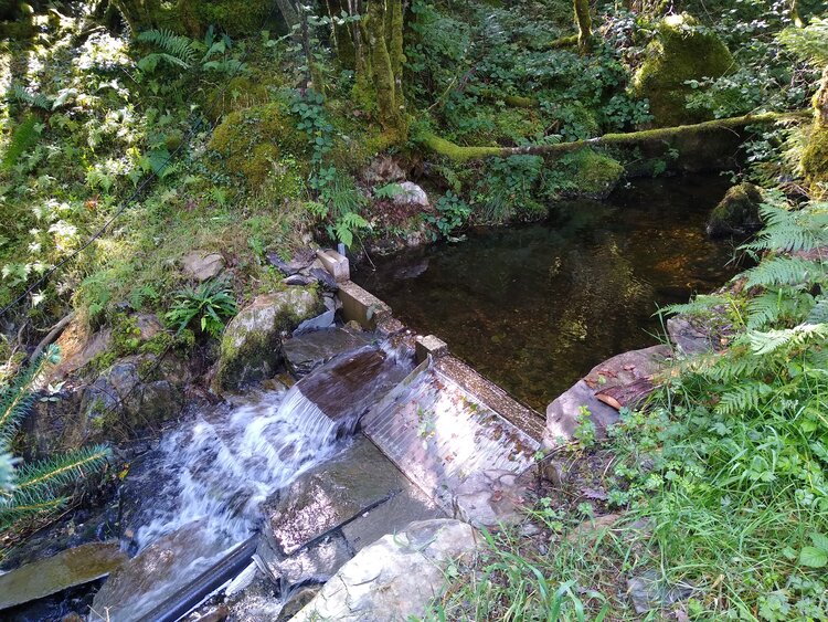 Future run-of-river #HydroPower production in the UK and Ireland will be impacted by #ClimateChange 💦⚡️ Find out more about these changes in an update from our <a href="/BangorUni/">Bangor University</a> team: dwr-uisce.eu/future-water-r… 📈
<a href="/INTERREGTweets/">Interreg Tweets</a> @IrelandWales #ERDF <a href="/TCD_Civileng/">Trinity Civil Engineering</a> <a href="/iha_org/">International Hydropower Association (IHA)</a>