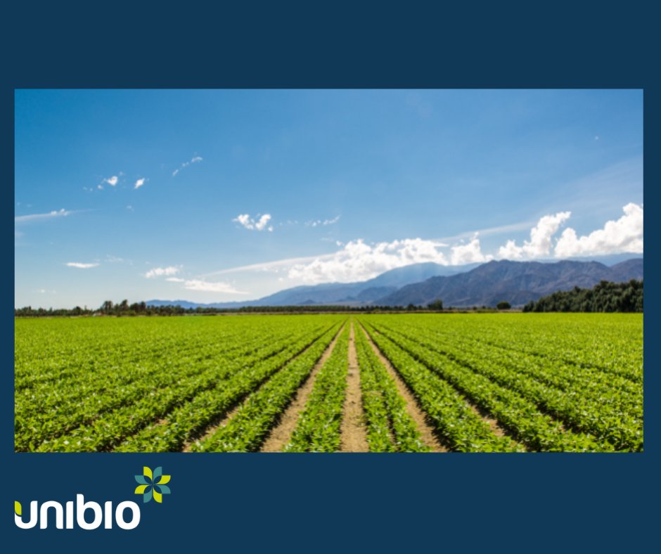 uni_bio's tweet photo. Every year the world loses around 5 million hectares of forest due to #deforestation. At least three-quarters of this is driven by #agriculture. No arable land is used to produce  #UniProtein® https://t.co/rJpkIOwGk9