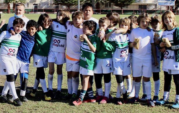 Rugby Club Valencia tweet media