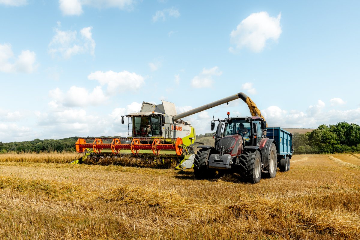 At last we have rain, Farm Manager Pete will be delighted! Here’s a throwback to last week where Steve and the team were busy harvesting in the glorious sun at Godminster Farm ☀️
