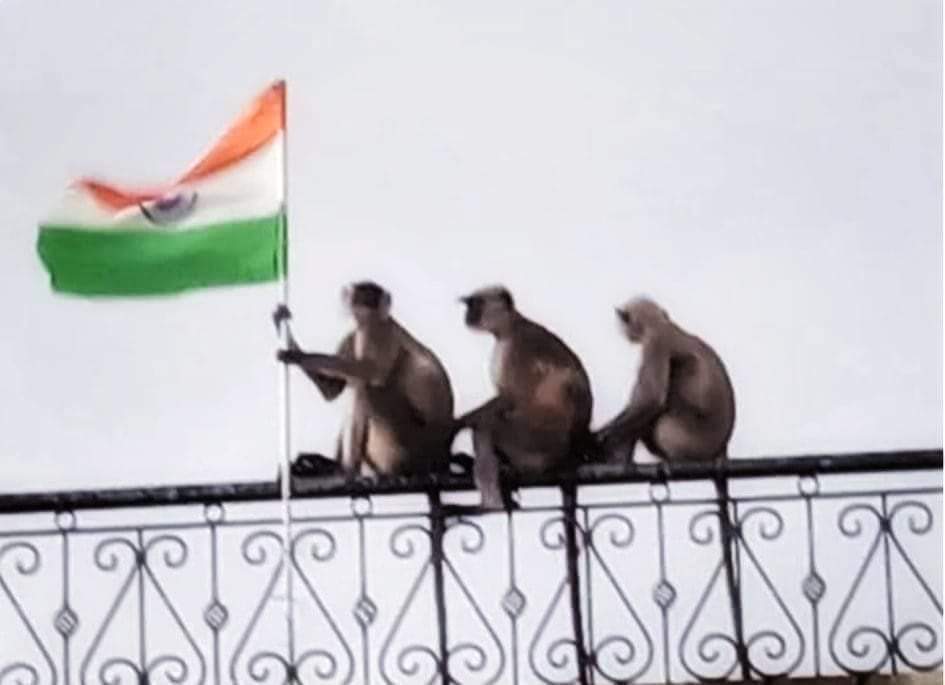 AieSSighapu1's tweet photo. संगत का असर है, देशभक्ति का दौर है 🇮🇳
एक दौर था जब ये तीनों अंधे, गूंगे, बहरे हुआ करते थे। 
🙏🏻 आज तिरंगा लिए है https://t.co/OuD8cE0aXA