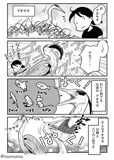 アオサギ怖い、狂気を感じる!の友人に捧げる。
過去描いたけど公開することのなかった漫画から。 
