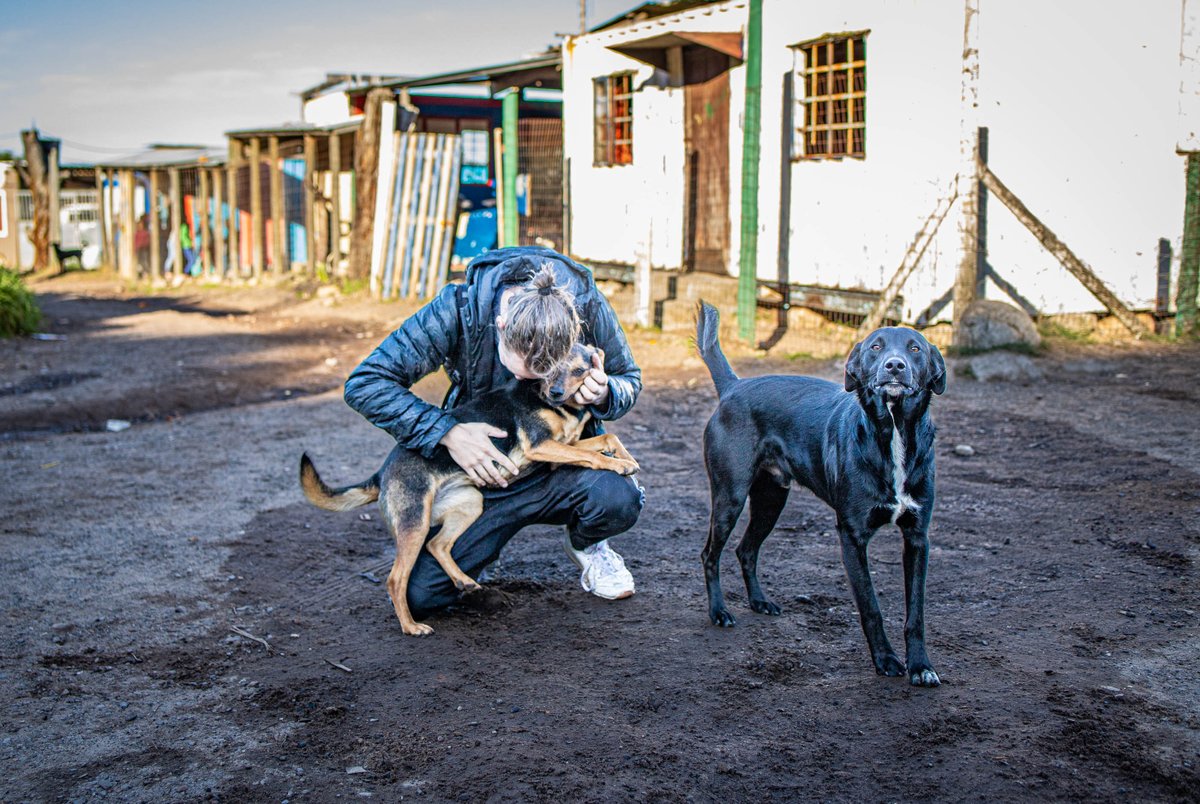 thependatrust's tweet image. Recently we visited Redhill Animal Rescue - a nonprofit dedicated to feeding, saving and caring for animals in the Redhill community in Cape Town. 🐕 Learn more here: instagram.com/redhillanimalr…
#nonprofit #animalrescue #CapeTown