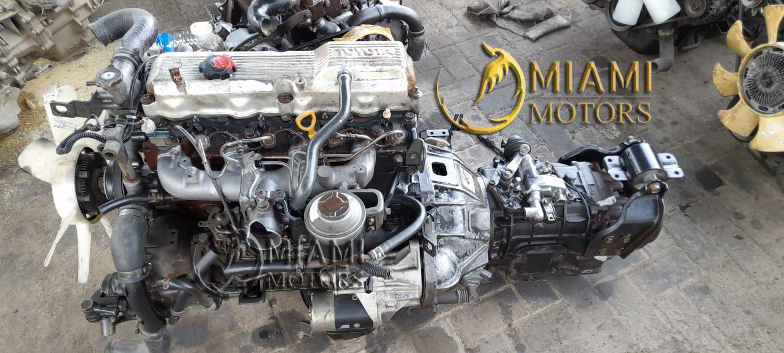 JDM MIAMI MOTORS (JDM_MiamiMotors) / Twitter