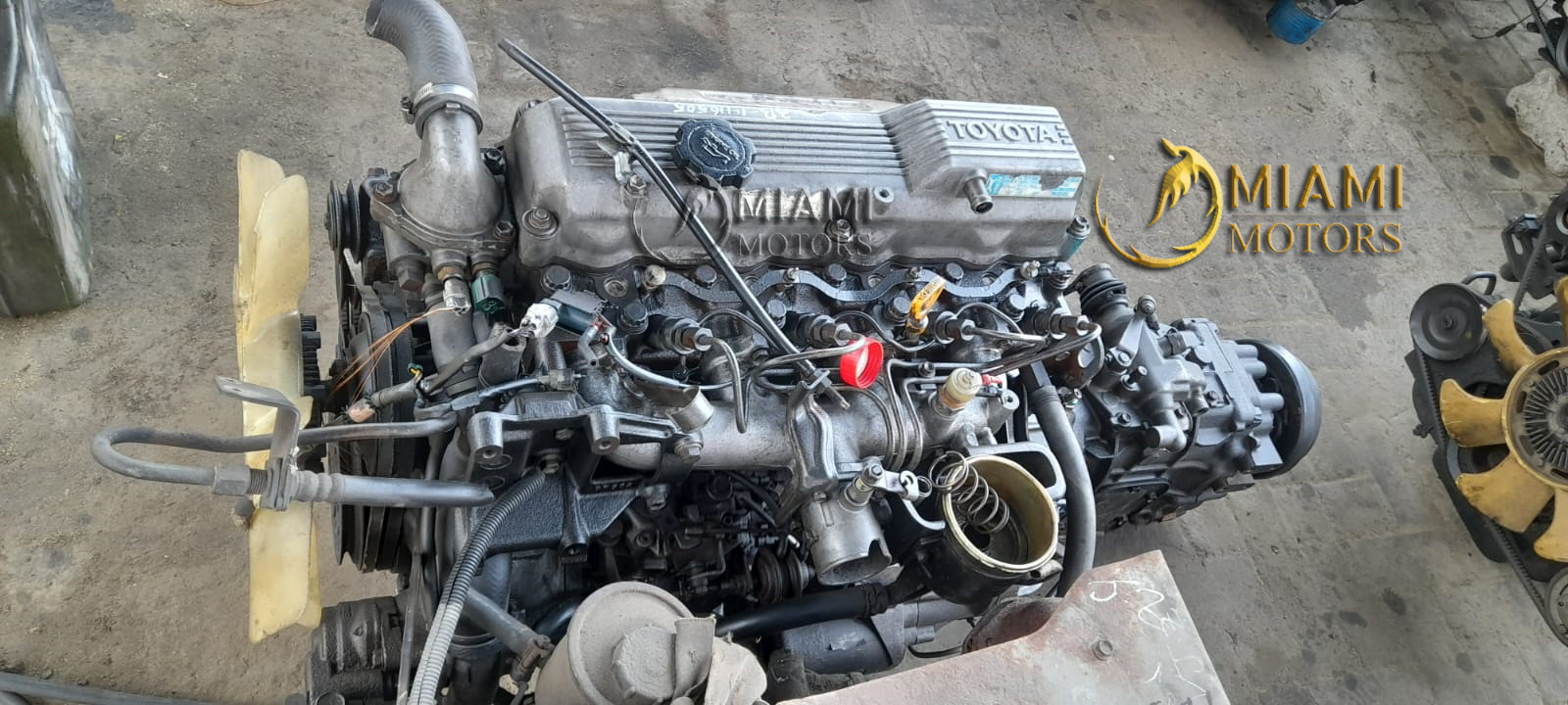 JDM MIAMI MOTORS (JDM_MiamiMotors) / Twitter