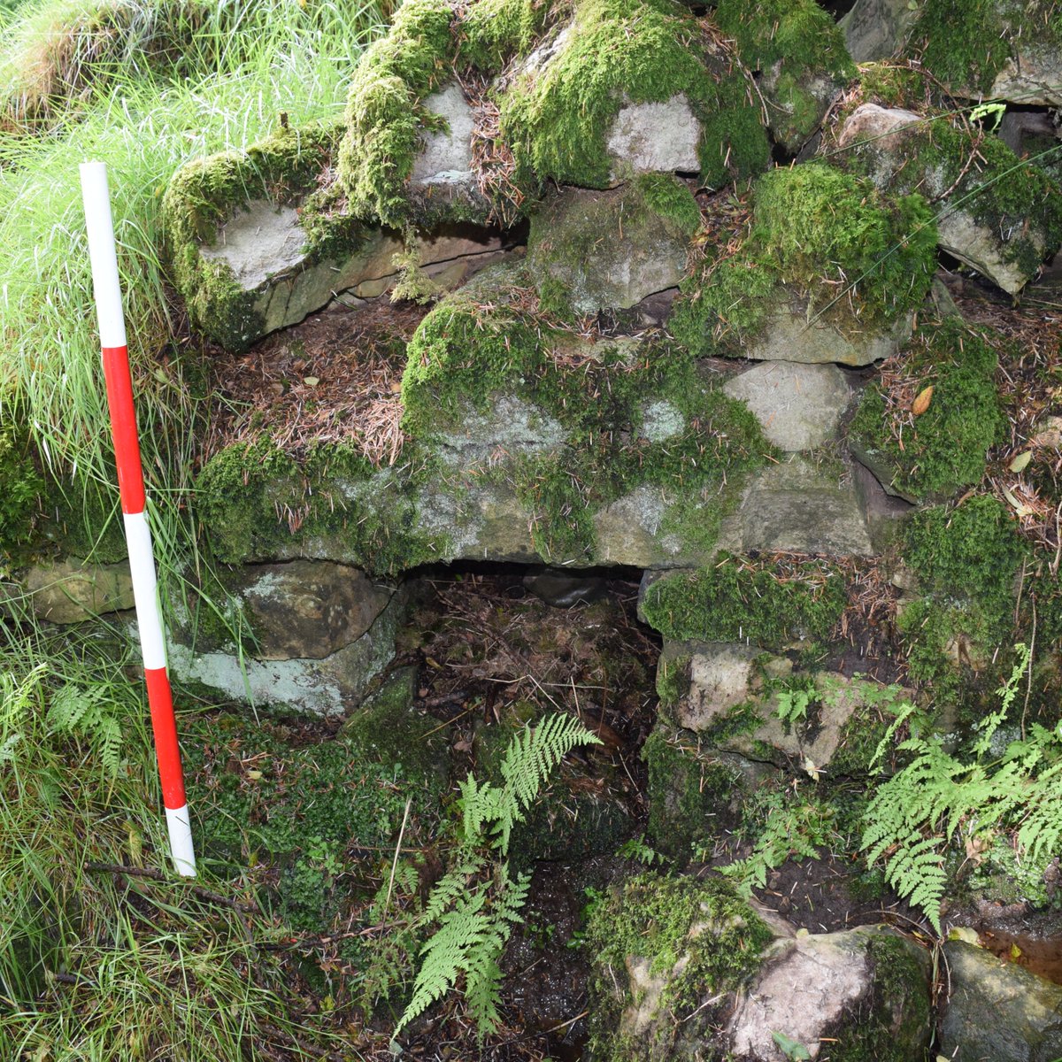 LSweathouse's tweet photo. Sweathouse near the Yellow River, Co. Leitrim #HeritageWeek2022 @HeritageWeek @leitrimcoco @HeritageHubIRE https://t.co/dHTrO2IS6N
