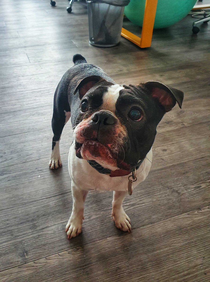 Julia Borsi tweet media