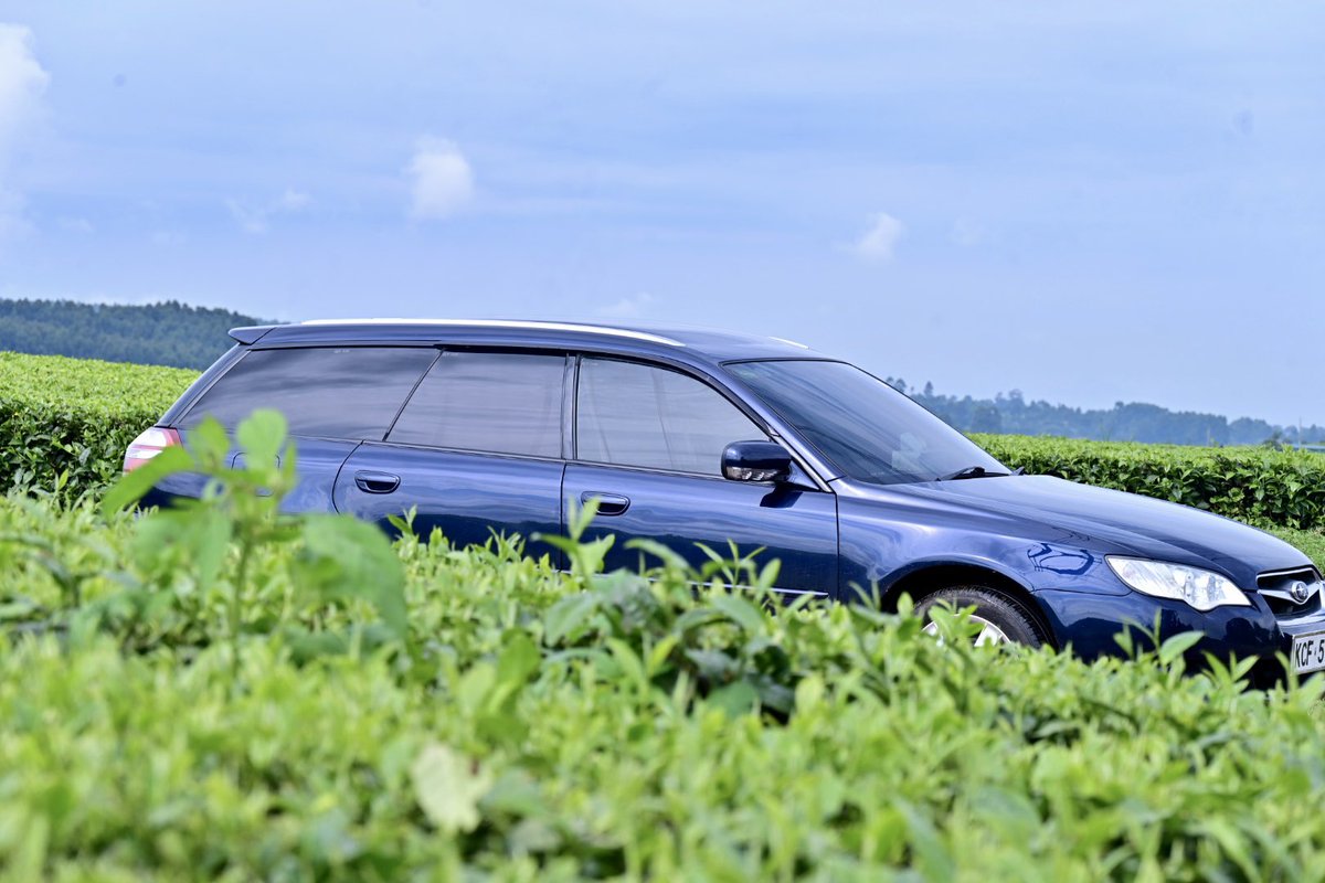 VinceChepkwony's tweet photo. The freshness is welcoming! #County035 https://t.co/kkj7EEn12O