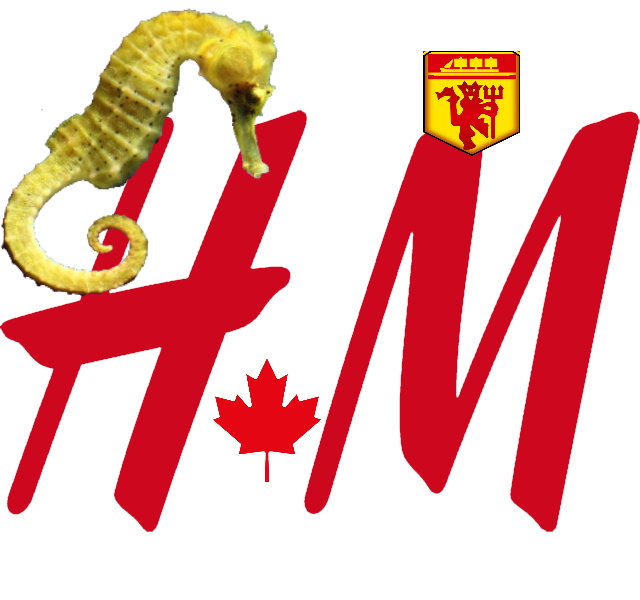 School of Psychology, University of Nottingham tweet media