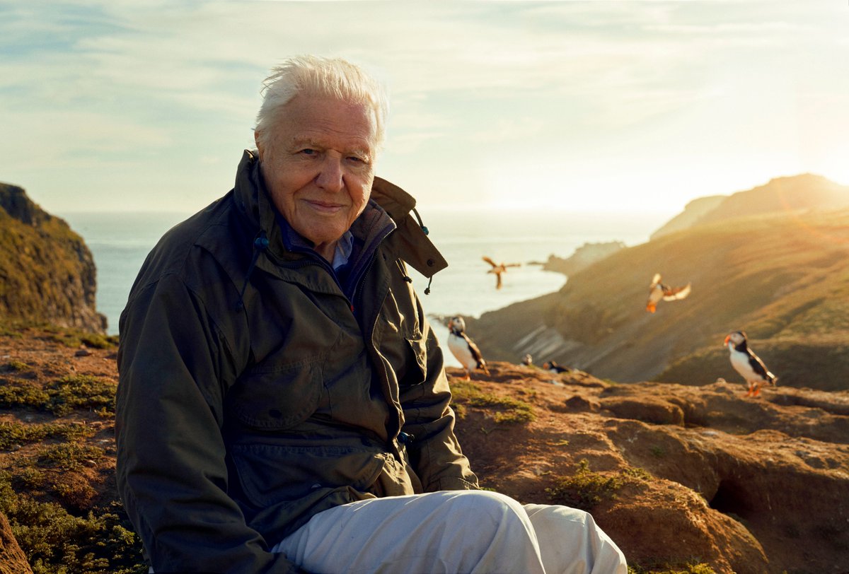 TanyaMSteele's tweet photo. WILD ISLES. I’m excited to share news of this major new @BBCOne natural history series, a unique collaboration between @wwf_uk , @Natures_Voice  &amp; the @OpenUniversity. Presented by #SirDavidAttenborough, the series will showcase UK's spectacular wildlife like never before... https://t.co/9JdS9vfmxU