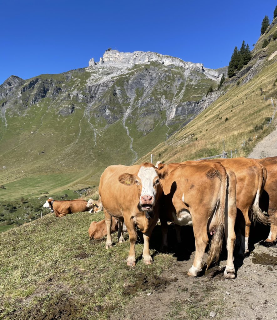 Hiking to Birg