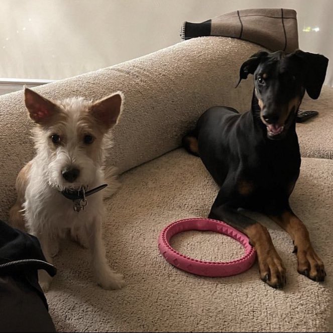 feellingJK's tweet image. อดีตที่เคยแข็งแกร่งพากันข่มขู่เมินน้องเลิฟน้องพัมในวันนั้น ปัจจุบันหงอยหลบตา สมน้ำหน้า🤪🤣