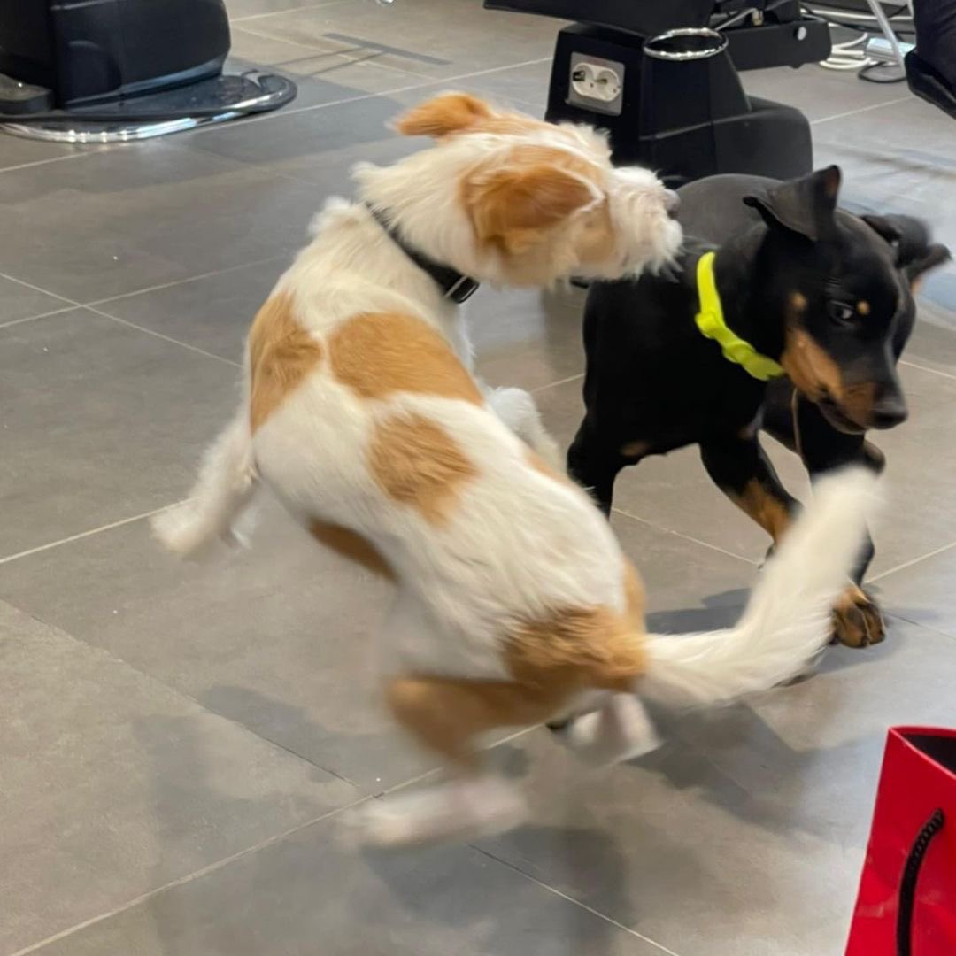 feellingJK's tweet image. อดีตที่เคยแข็งแกร่งพากันข่มขู่เมินน้องเลิฟน้องพัมในวันนั้น ปัจจุบันหงอยหลบตา สมน้ำหน้า🤪🤣