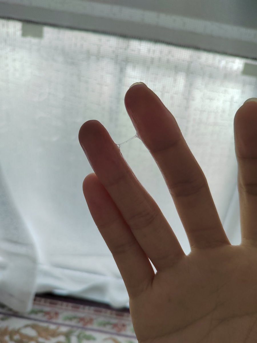 猫儿的瘾 tweet media