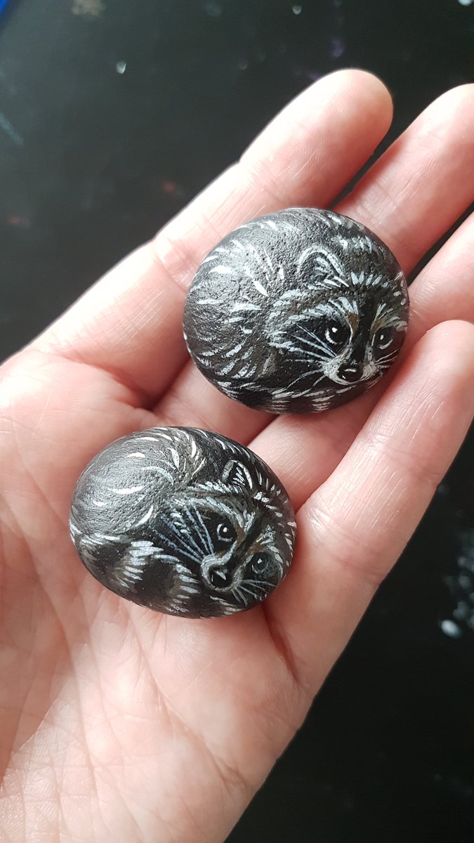 MSuttonArt's tweet photo. New #paintedpebble design.
Raccoons have been on my to-do list for ages, finally got around to them.
Hopefully, I'm not the only one who likes them.
https://t.co/mYlW4pxUqa https://t.co/X060RaGOjG