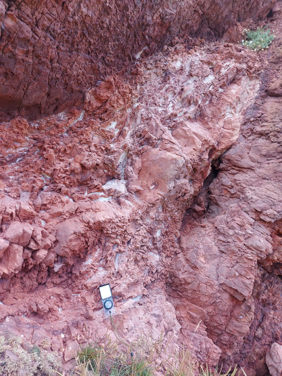DrTimKearsey's tweet photo. Using #loop3d to understand the complex structure and stratigraphic thinning under Berwick-upon-Tweed. https://t.co/ujNWGTGHzd