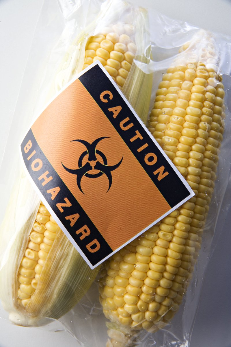 UK plans to remove regulations and safety testing on new-style #GMOs.

We need to raise #awareness and inform MPs of the #danger of gene-edited crops and foods. #Science is on our side.

Please support our campaign and help us keep your #food safe! 
allianceforfoodpurity.org.uk/donate