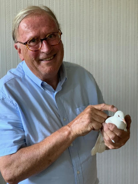 Rail Story at Ingrow tweet media