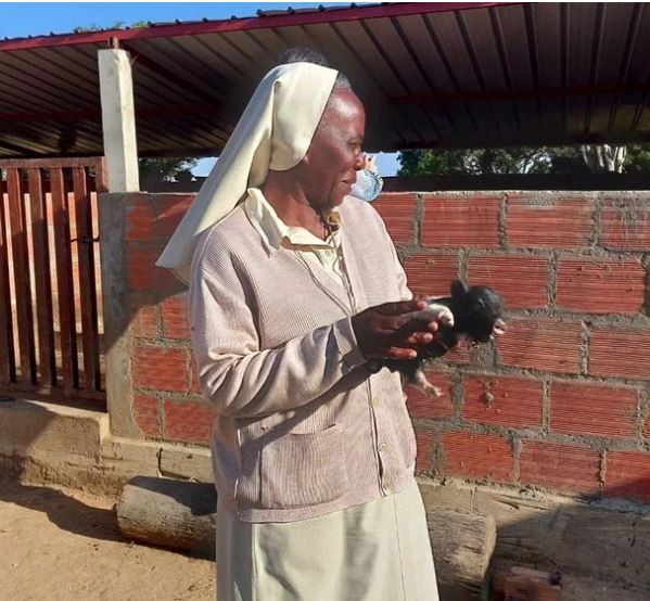 ongdFundEO's tweet photo. Campaña Solidaria de Olmedo a favor de un internado femenino en Vavayela (Angola). El martes 16 de Agosto nos lo cuenta la hermana Luzía Domingas y el domingo 21 se celebra una marcha hasta Bocigas y el pincho solidario. ¿Te apuntas? Más info en https://t.co/l035Oblo3m
#FundEO https://t.co/x2MPF0C0I2