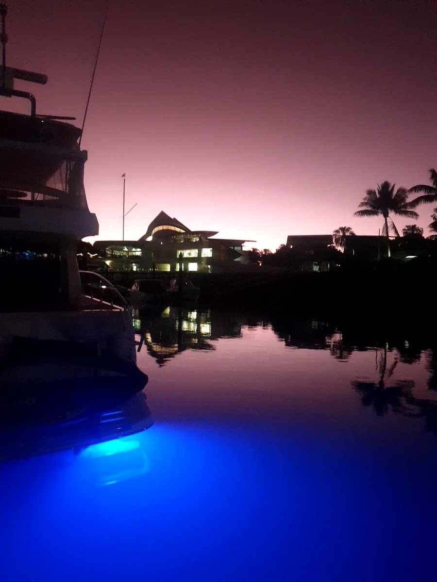 Xoey (@xobiacyan) on Twitter photo 