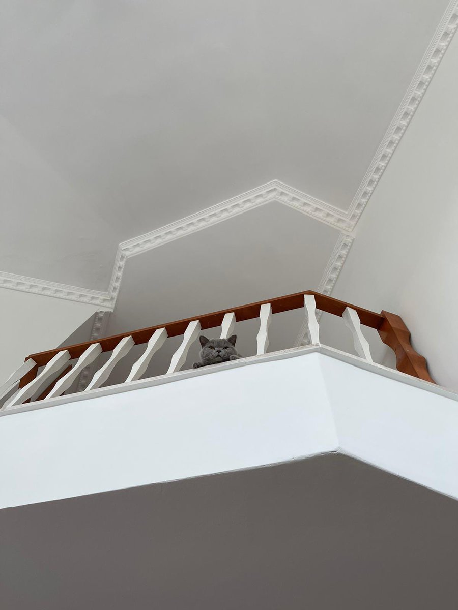 kayfaldı hasırsa iniom