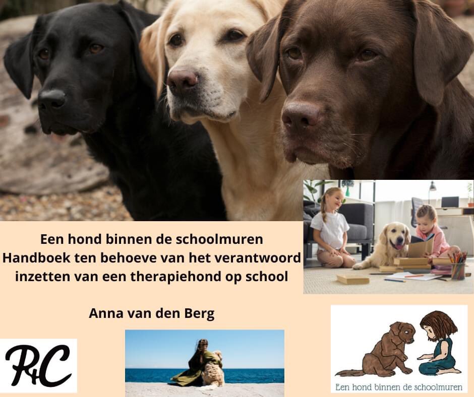Pets4Care's tweet photo. Binnenkort een feestje: er verschijnt een boek over de schoolhond🥳
@Pets4Care #kwaliteitAAI https://t.co/ldg71Ohj52