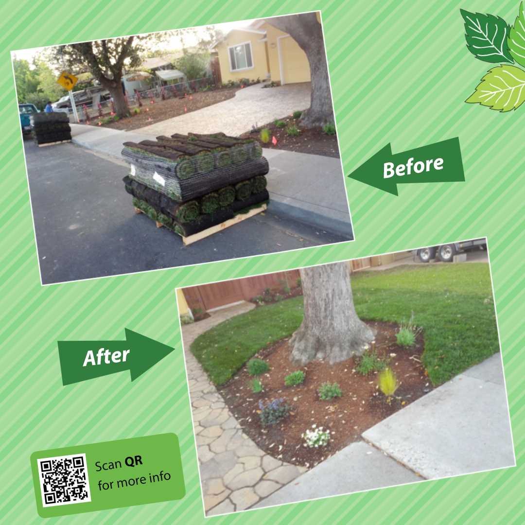 LandscapeSJ's tweet photo. For professional landscape design, call 408.578.2942! 

#landscape #landscapedesign #shrubs #landscapes #landscapestyles #hardscapes #lawnservice #lawns #lawnporn #lawngoals #usenaturaloxygen #cleanyourairwithplants #landscaping101 #bestlandscapersintown #landscapingthatworks https://t.co/TNu37gFA8F