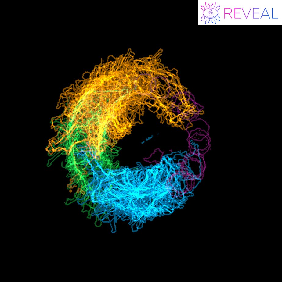 Cédric (@allierced) on Twitter photo Single cell analysis is finding time in the European project <a href="/REVEAL_H2020/">REVEAL</a> . Experiment <a href="/clocklab_IGFL/">Kiran Padmanabhan</a>, deep learning analysis at <a href="/CEA_Leti/">CEA-Leti</a>. Thanks to #cellpose + #TrackMate on lens-free microscopy phase images <a href="/iprasense/">IPRASENSE - Cell Culture Monitoring Instruments</a>. Single cell analysis is finding time in the European project <a href="/REVEAL_H2020/">REVEAL</a> . Experiment <a href="/clocklab_IGFL/">Kiran Padmanabhan</a>, deep learning analysis at <a href="/CEA_Leti/">CEA-Leti</a>. Thanks to #cellpose + #TrackMate on lens-free microscopy phase images <a href="/iprasense/">IPRASENSE - Cell Culture Monitoring Instruments</a>.