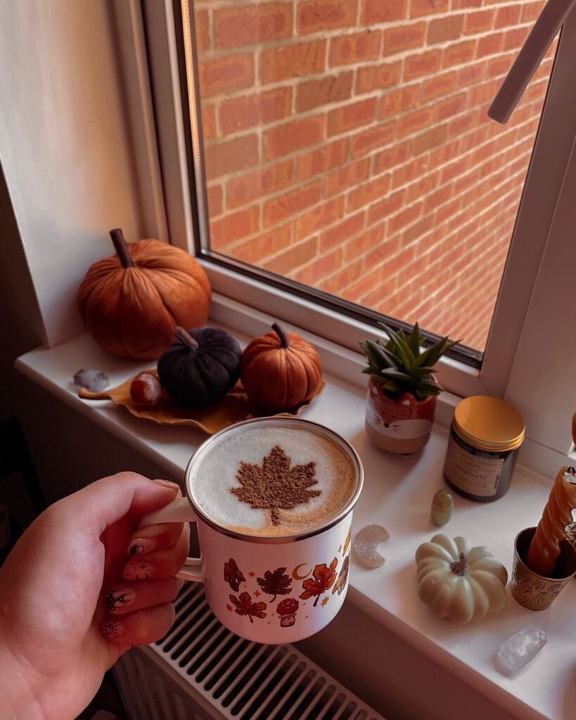 jayerockett's tweet photo. Autumn vibes only from here on out 🍁 (ps, mush mugs are available for pre order again!)
.
.
.
.
.
#anatural_autumn #upandautumn #searchwandercollect #embracingtheseasons #slowmornings #forahappymoment #welivetoexplore #optoutside #momentsofmine #op… https://t.co/PlF6KP3RXd https://t.co/PrDP5nSjNR