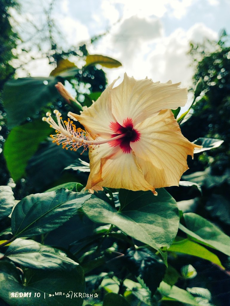 Envormental🌍 tweet media