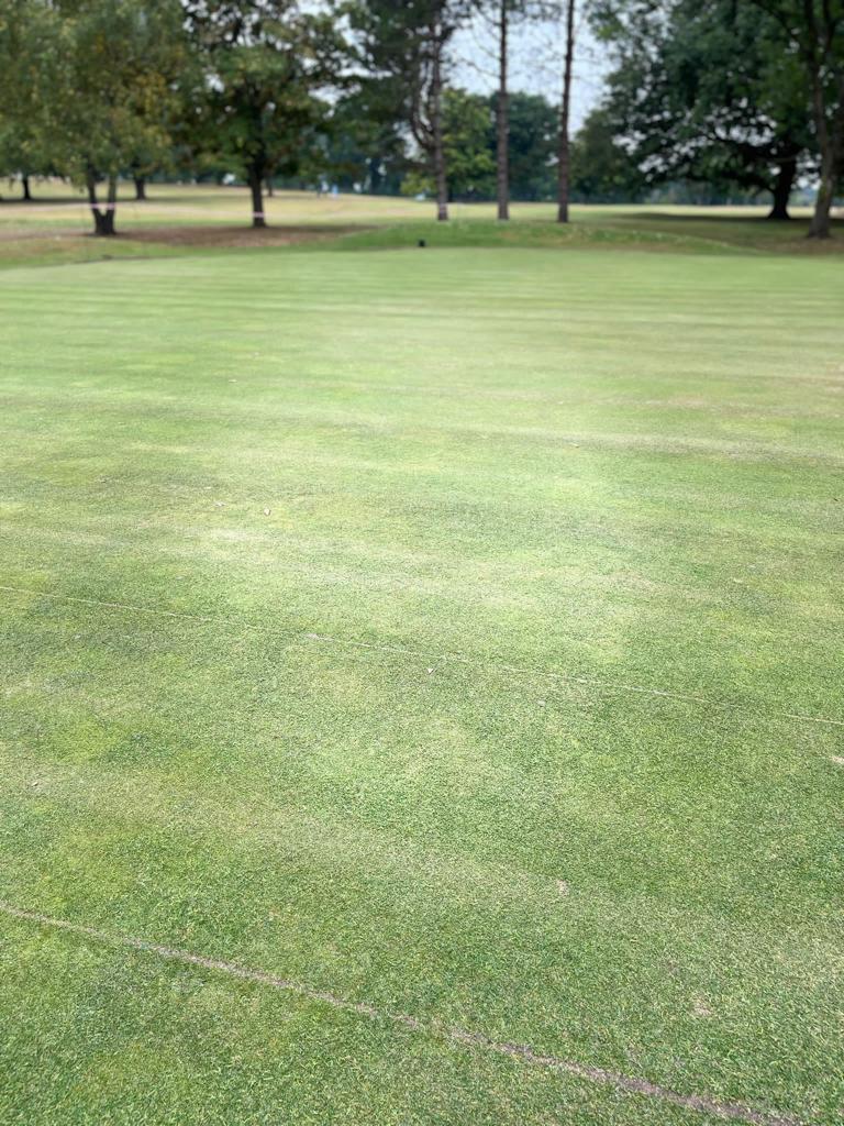 KnowleGolfClub's tweet photo. @cammymac23. DJUKE installing passive capillary rope drainage on four of our greens. Progressing well and a very tidy finish. https://t.co/pPca0focMZ