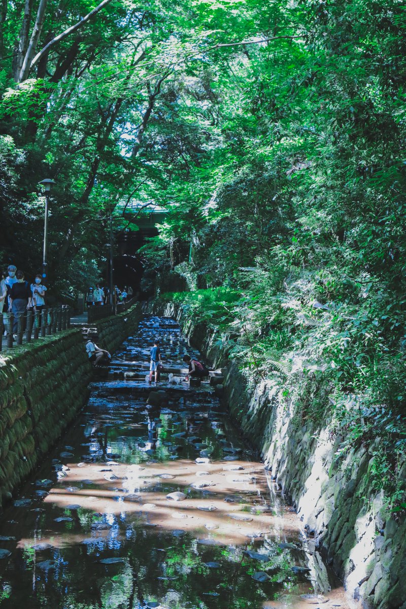 Futa_photo's tweet photo. 都内の避暑地
等々力渓谷は都会のオアシス！

#photo
#photography 
#写真
#写真好きな人と繋がりたい
#写真で伝えたい私の世界
#キリトリセカイ
#ファインダー越しの私の世界 https://t.co/P5uHymzHUE